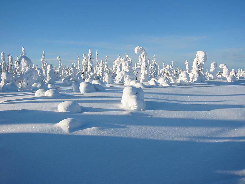 009 Matkalla Sallaan.jpg